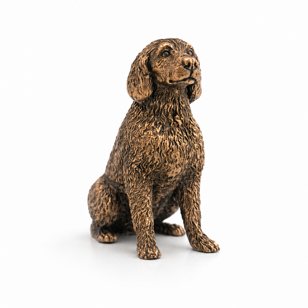 Labradoodle