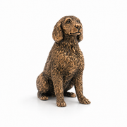 Labradoodle