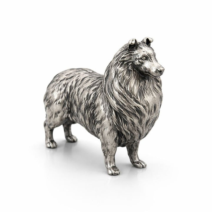 Sheltie
