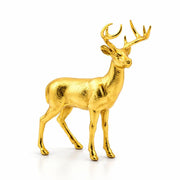 White Tailed Deer