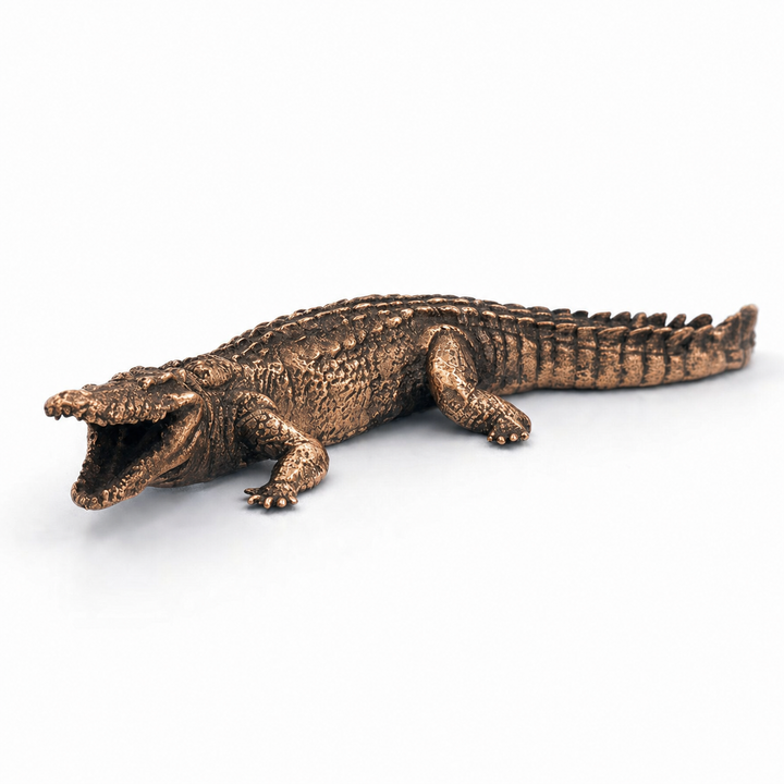 Crocodile