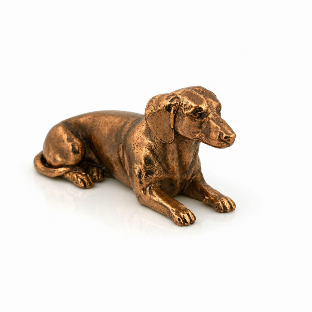 Dachshund