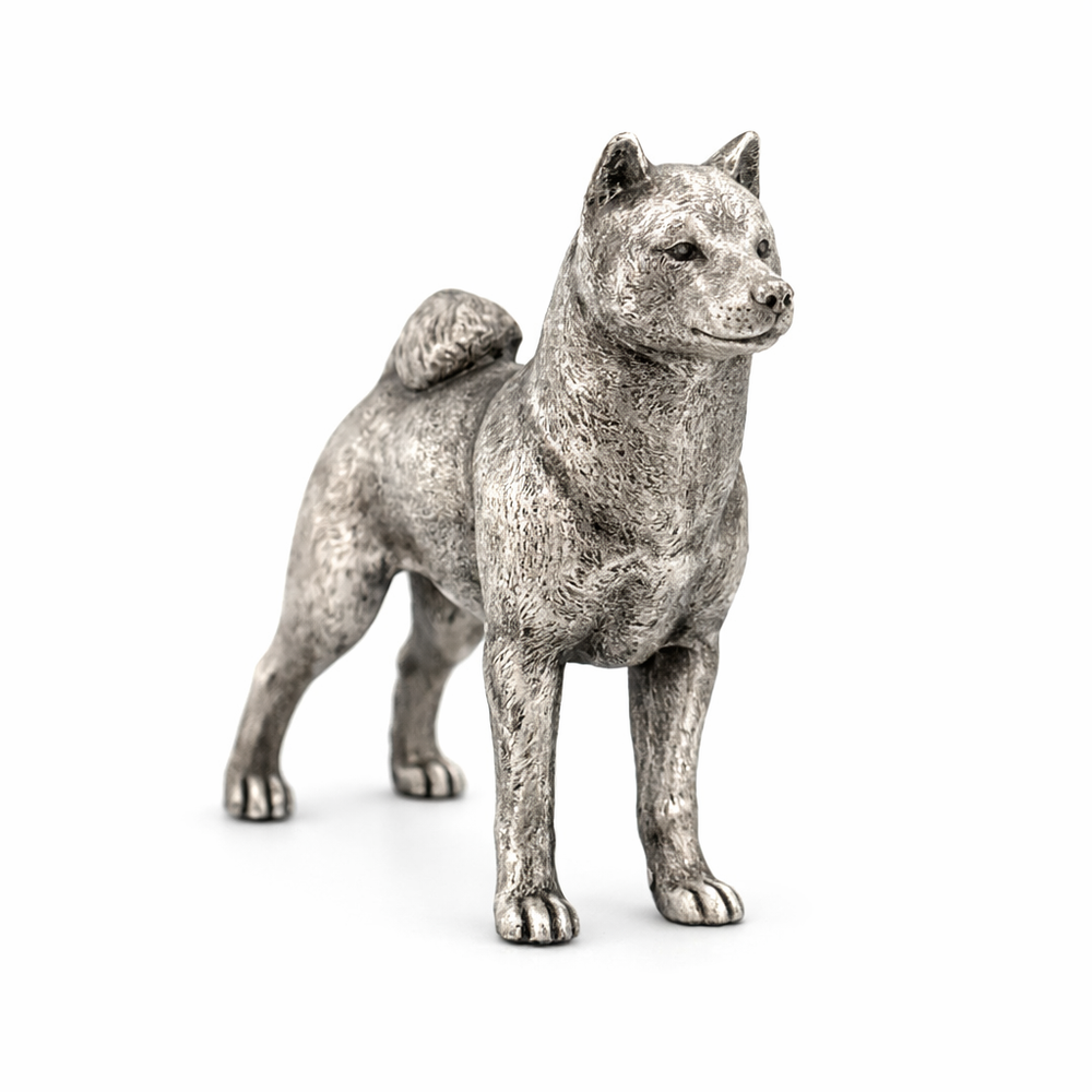 Shiba