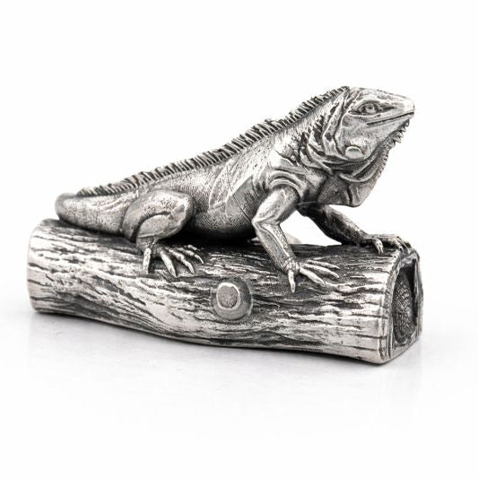 Iguana