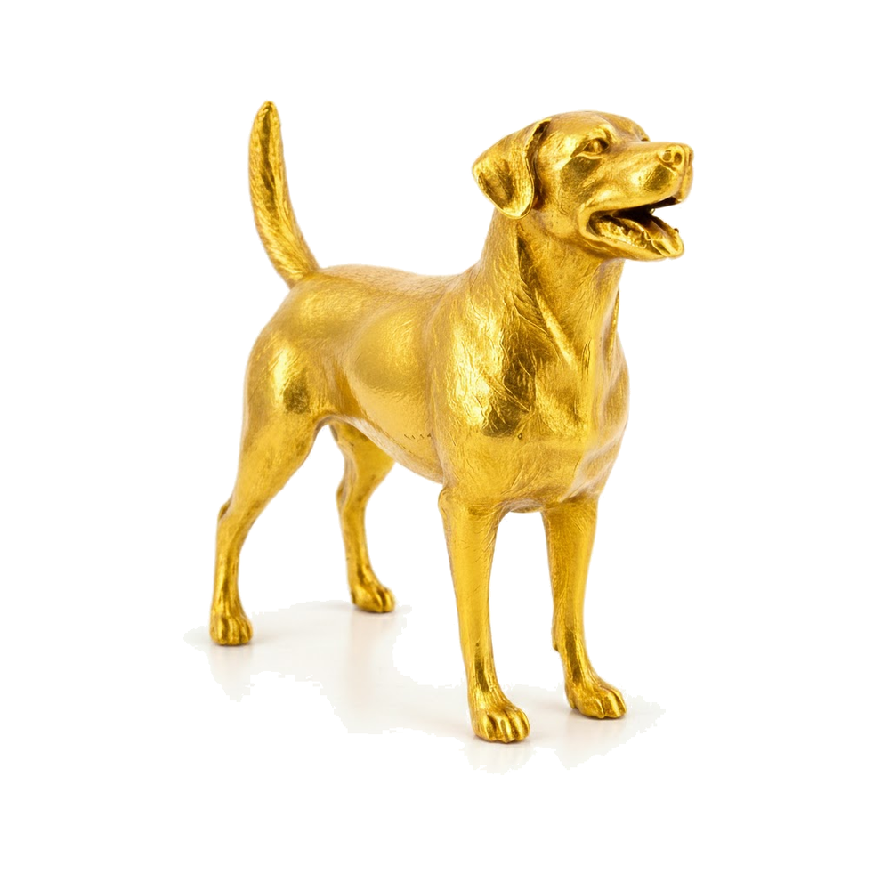 Labrador