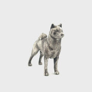 Shiba