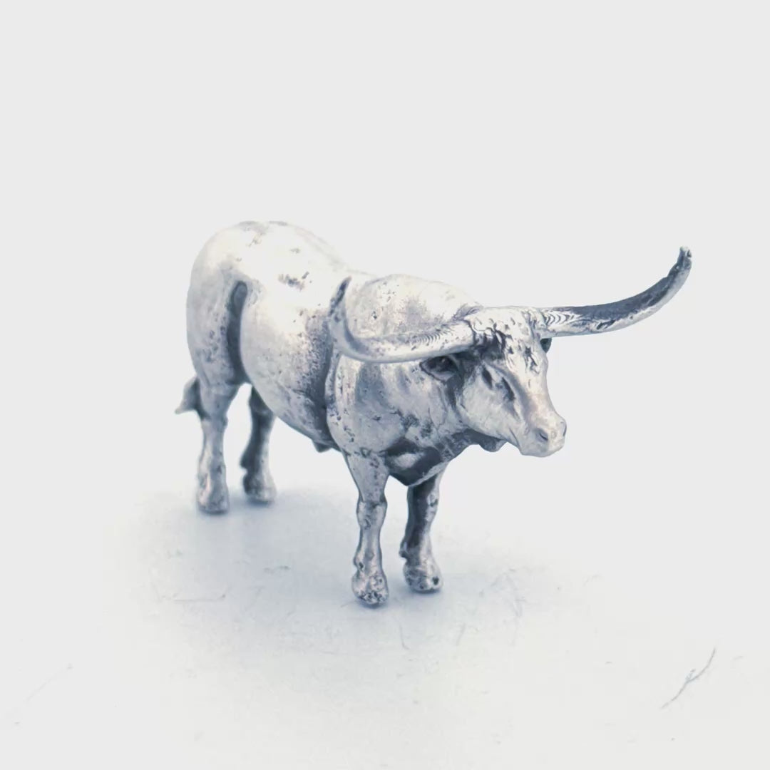 Longhorn