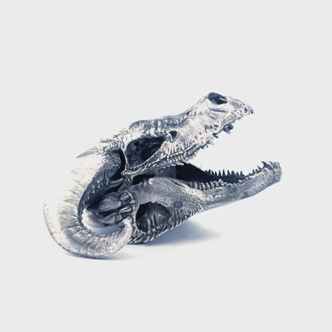 Dragon Skull