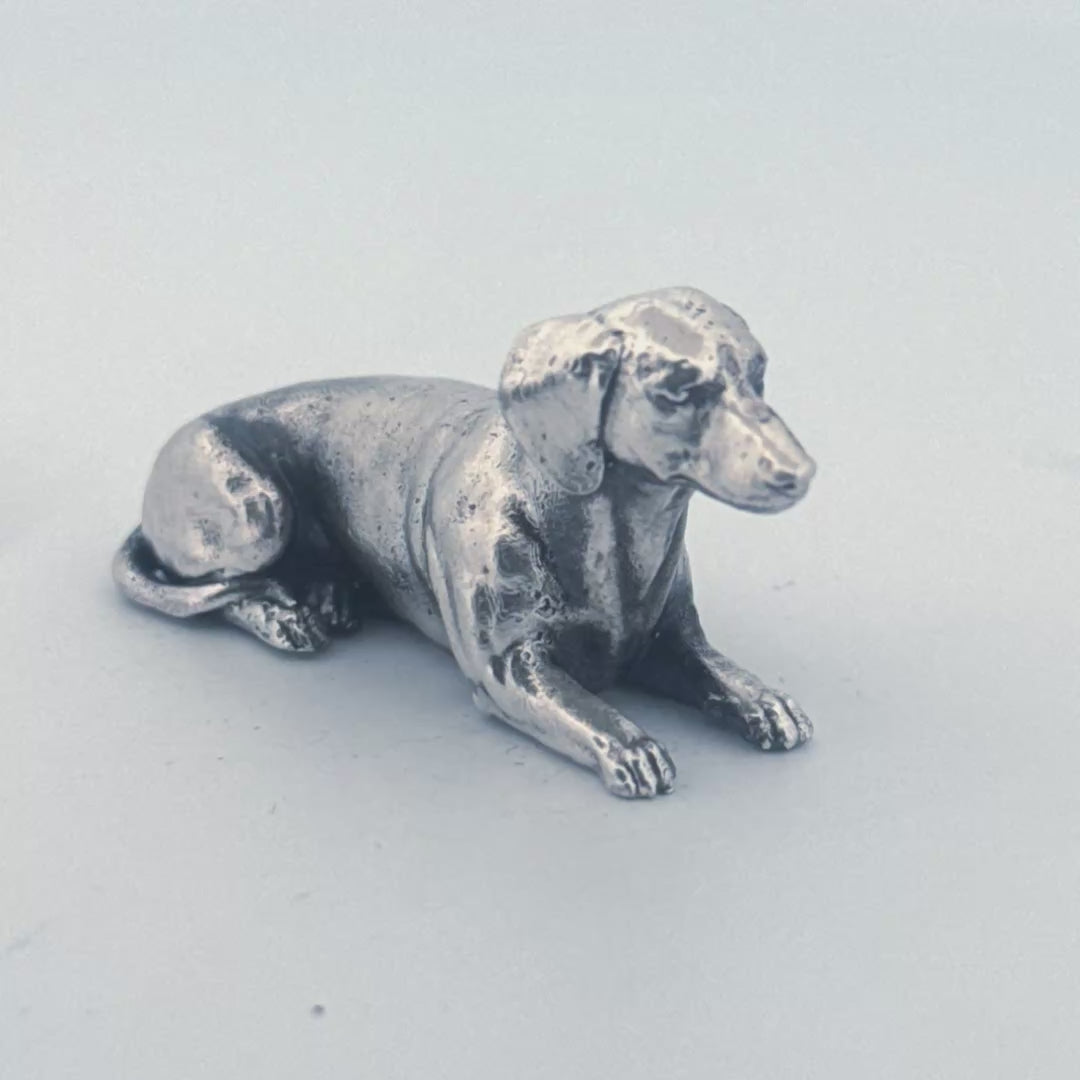 Dachshund