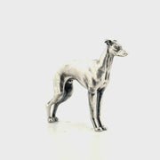 Italian Greyhound