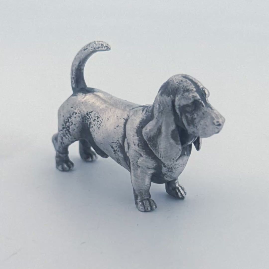 Basset Hound