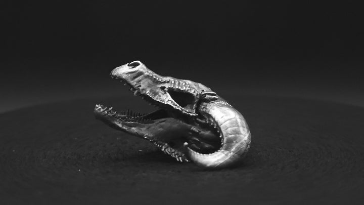 Dragon Skull