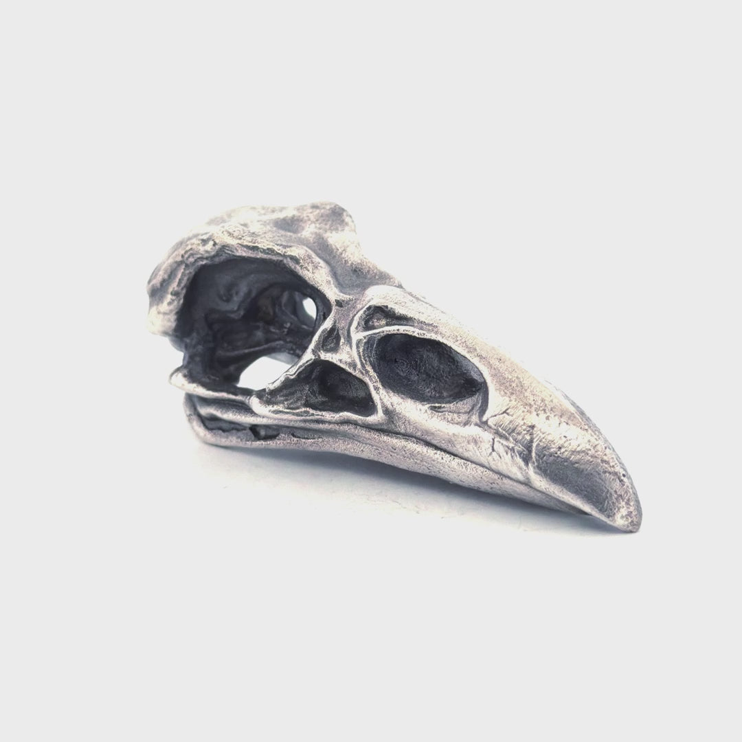 Raven Skull