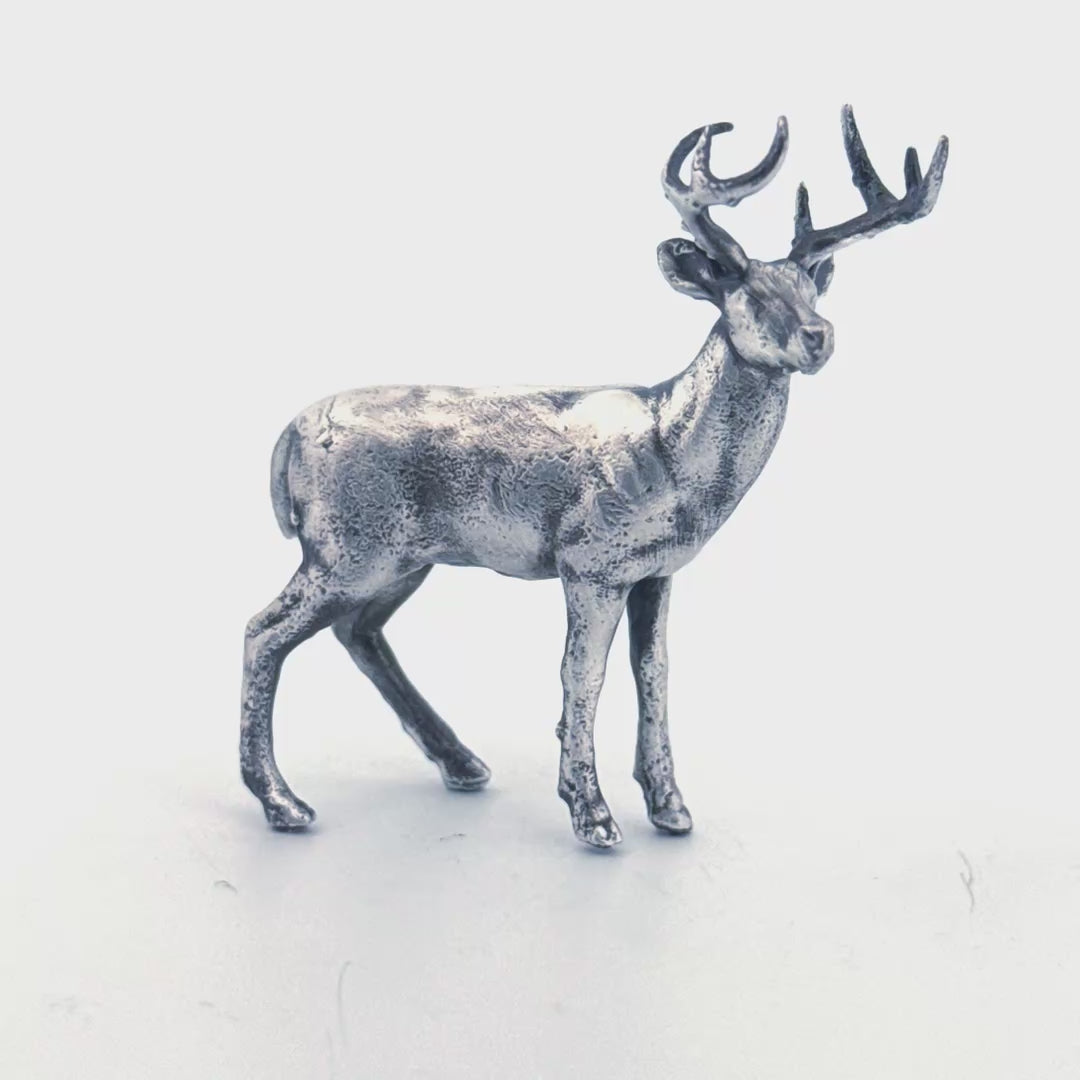 White Tailed Deer