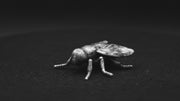 Fly