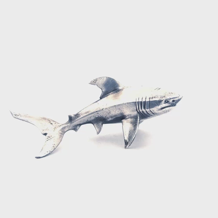 Shark