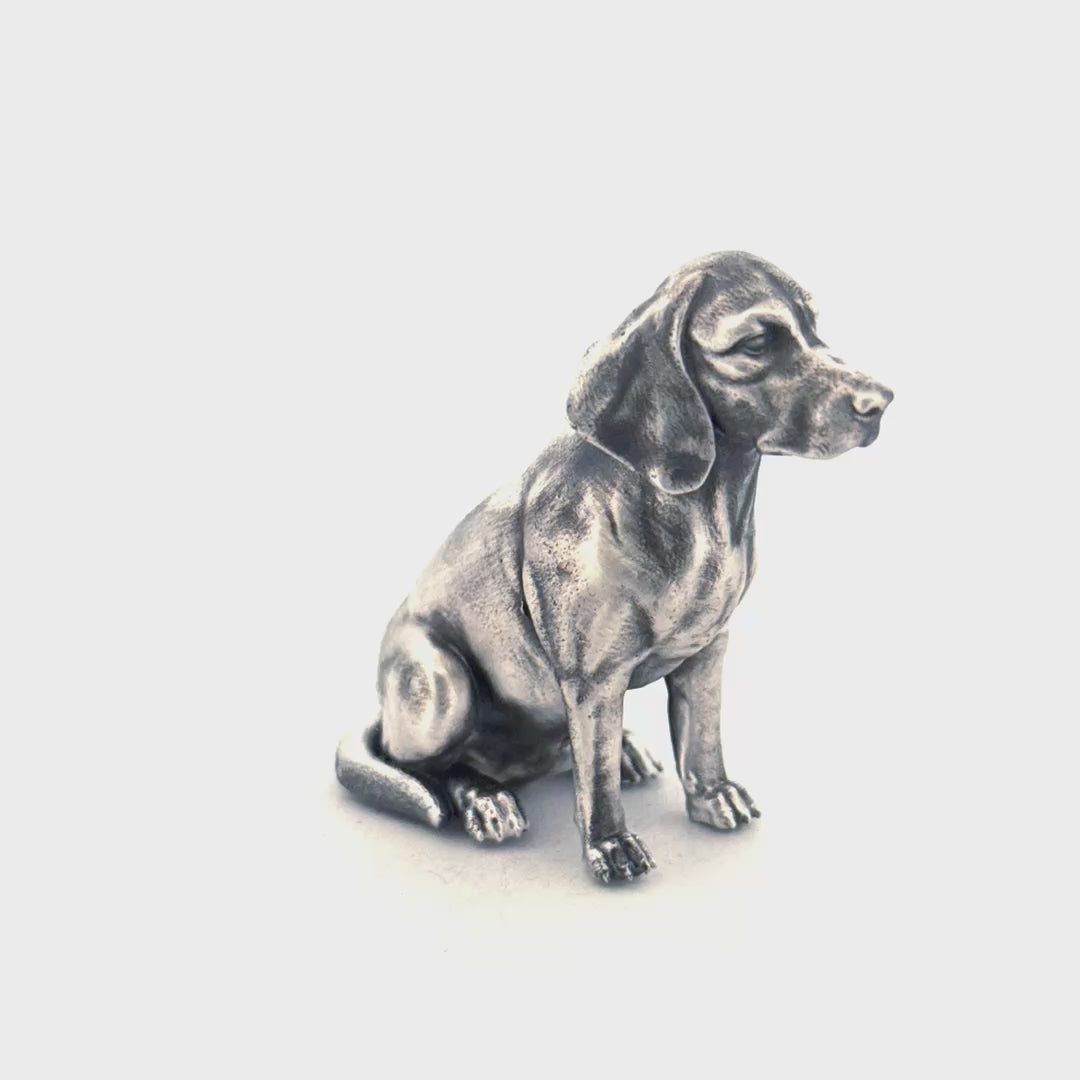 Beagle