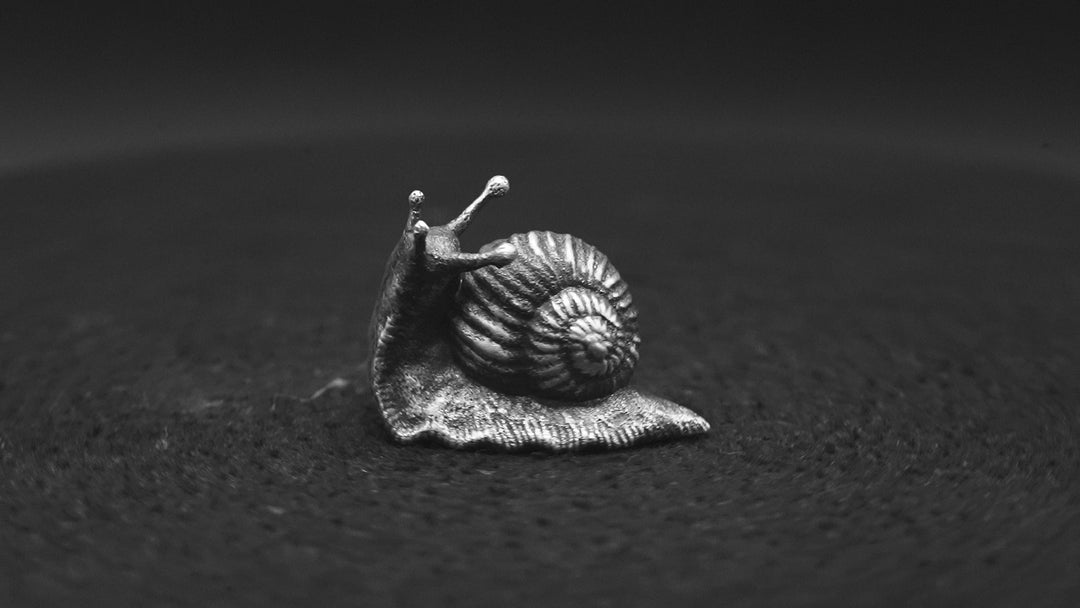 Snail