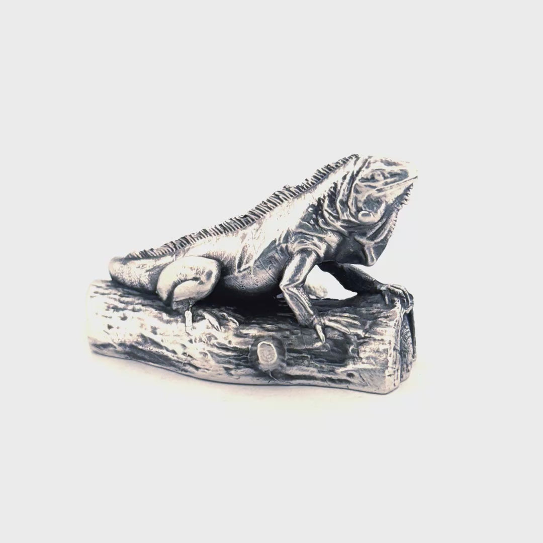 Iguana