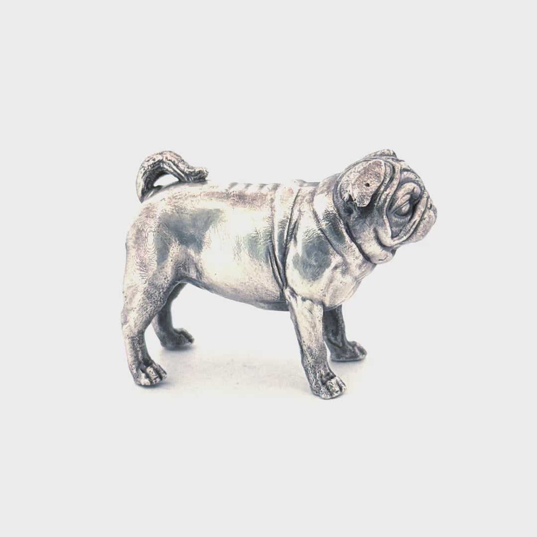 Pug