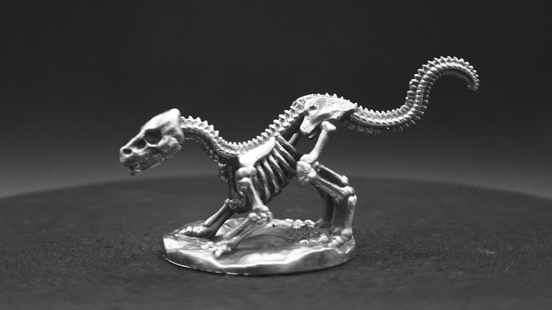 Raptor Skeleton