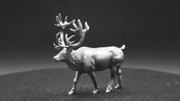 Stag