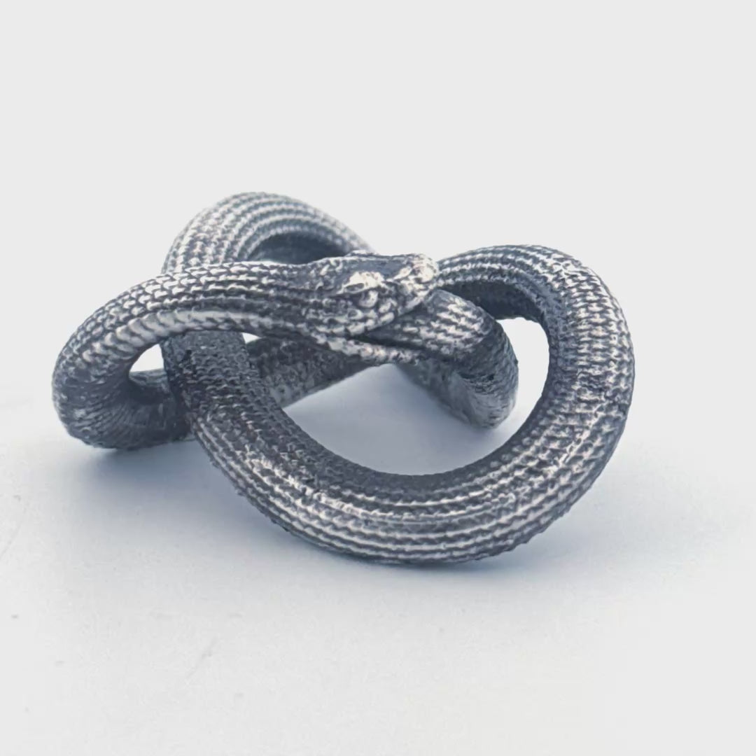 Ouroboros