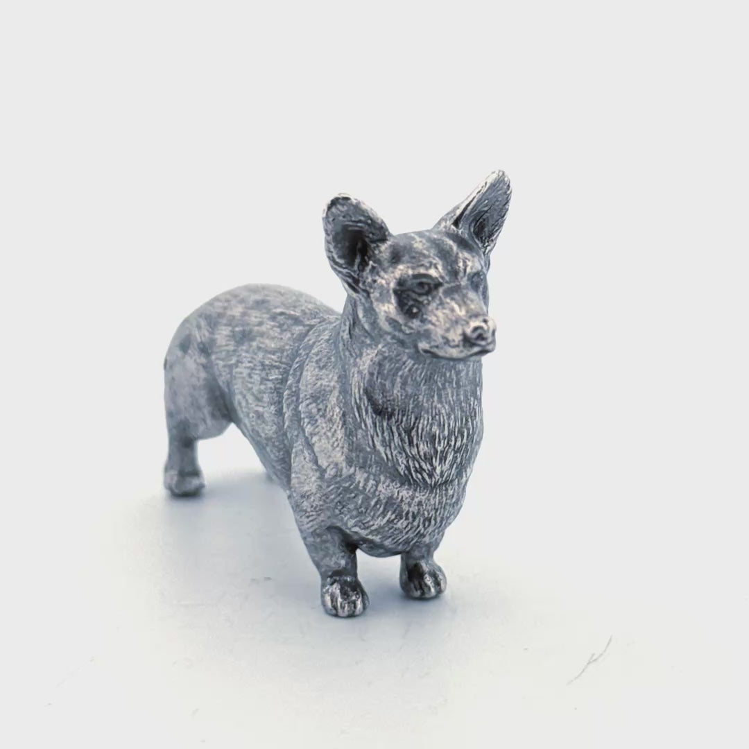 Corgi
