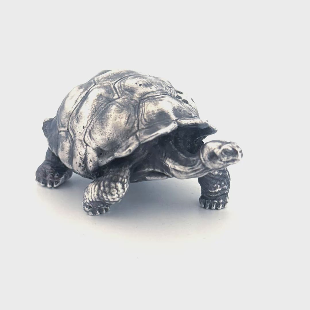 Galapagos Tortoise