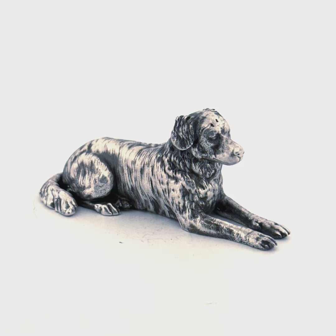 Australian Shepherd