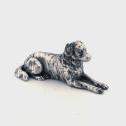 Australian Shepherd