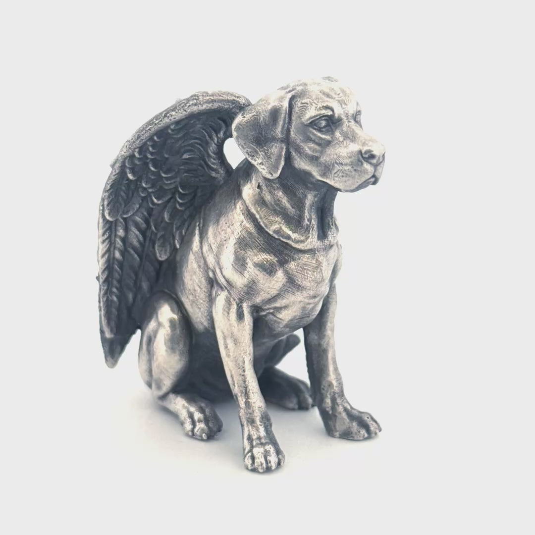 Labrador Angel
