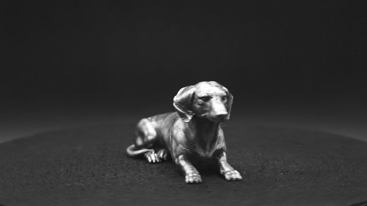 Dachshund