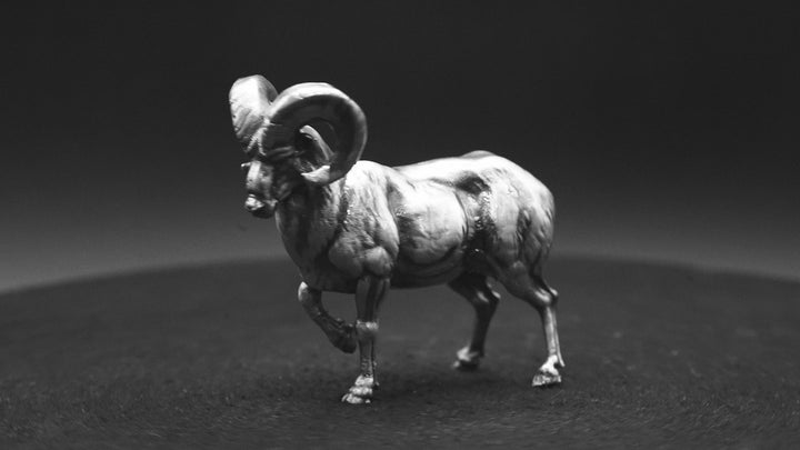 Ram