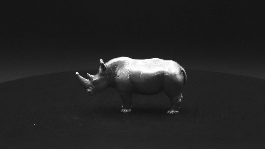 Rhino