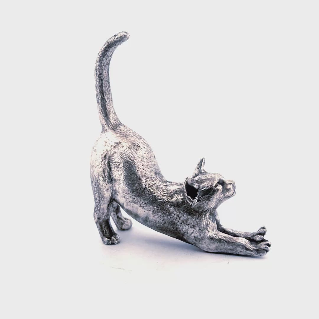 Stretching Cat