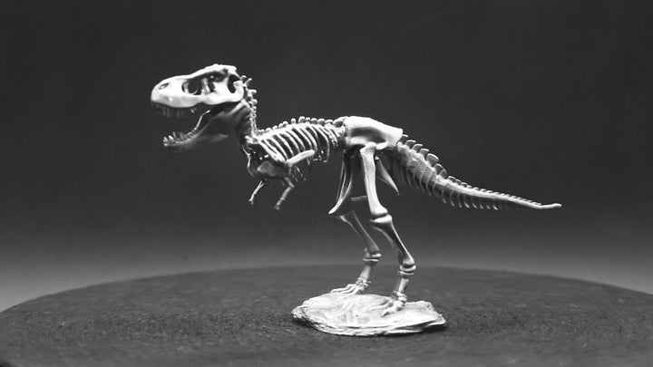 T-Rex Skeleton