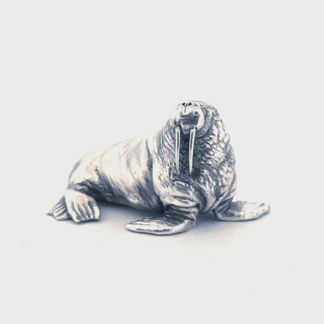 Walrus