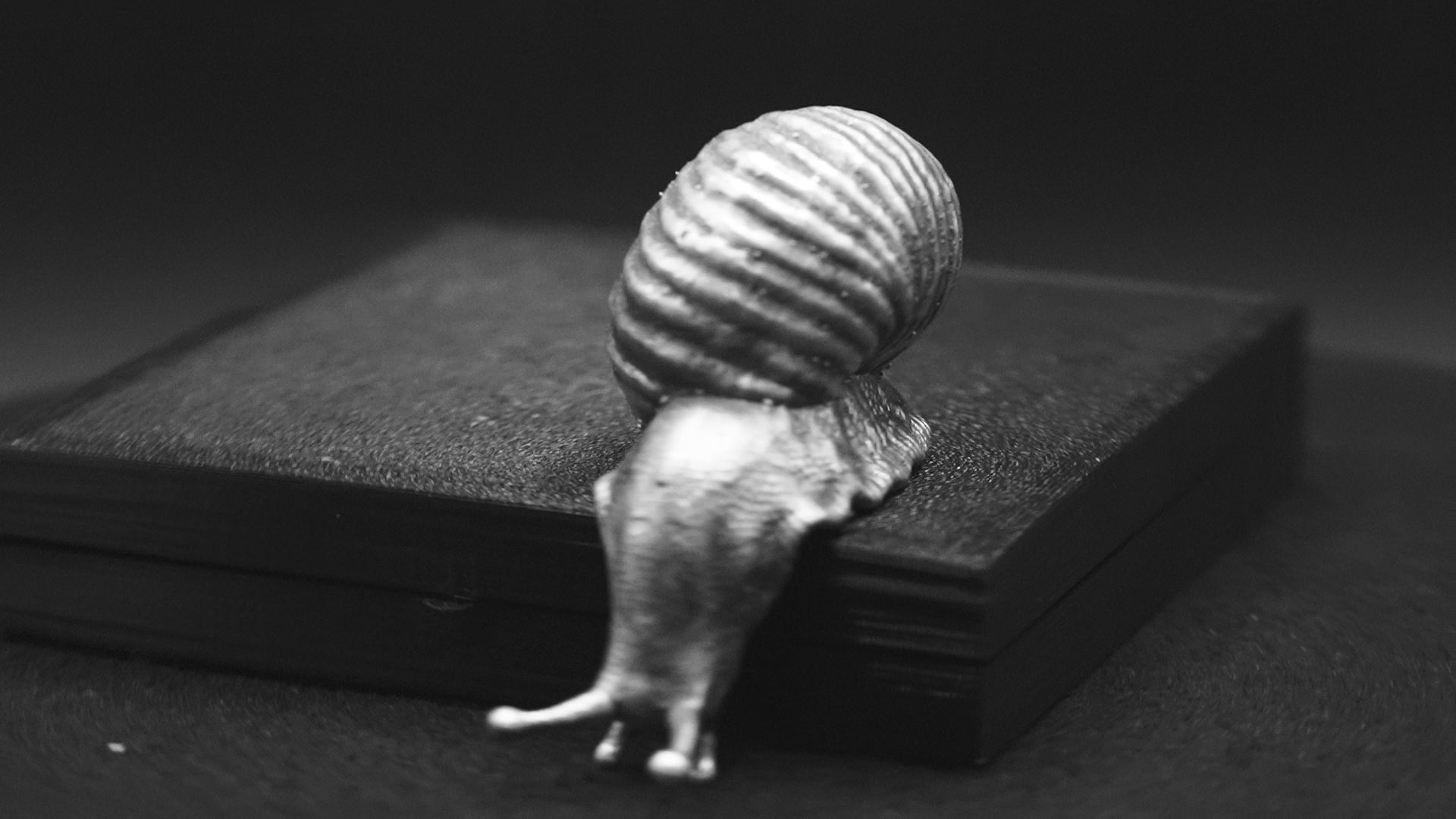 Snail V2
