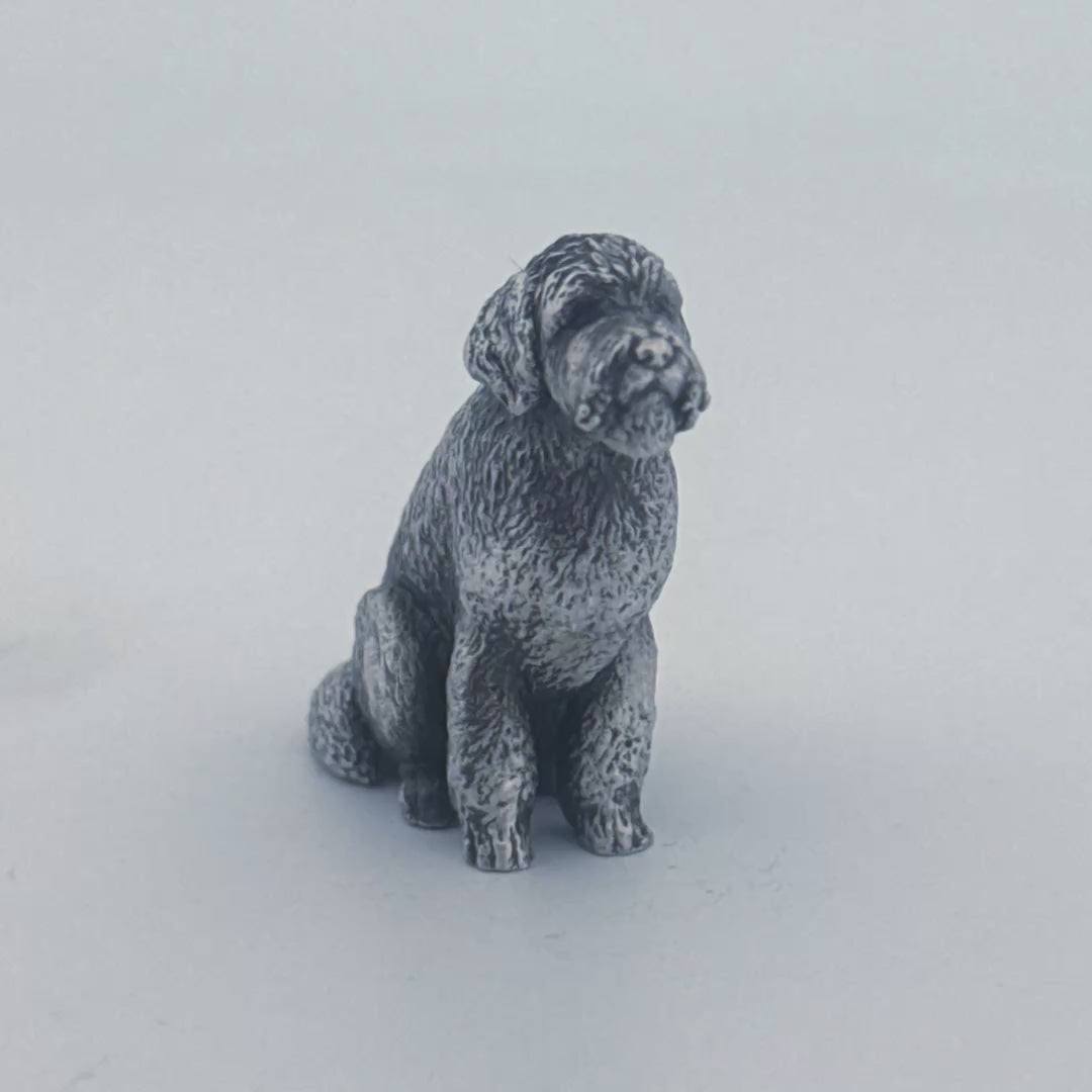 Golden Doodle