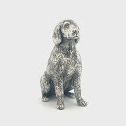 Labradoodle