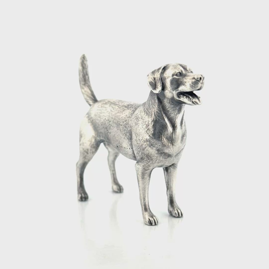 Labrador
