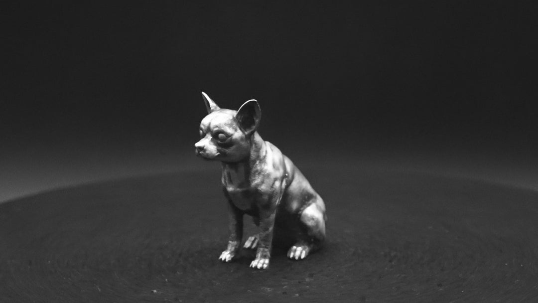 Chihuahua