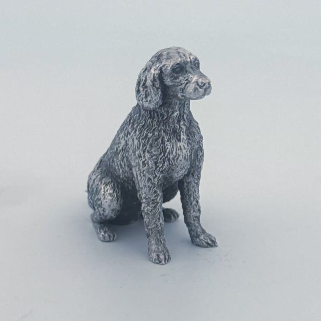 Labradoodle