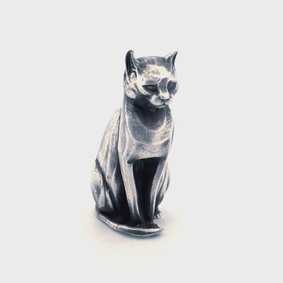Regal Cat