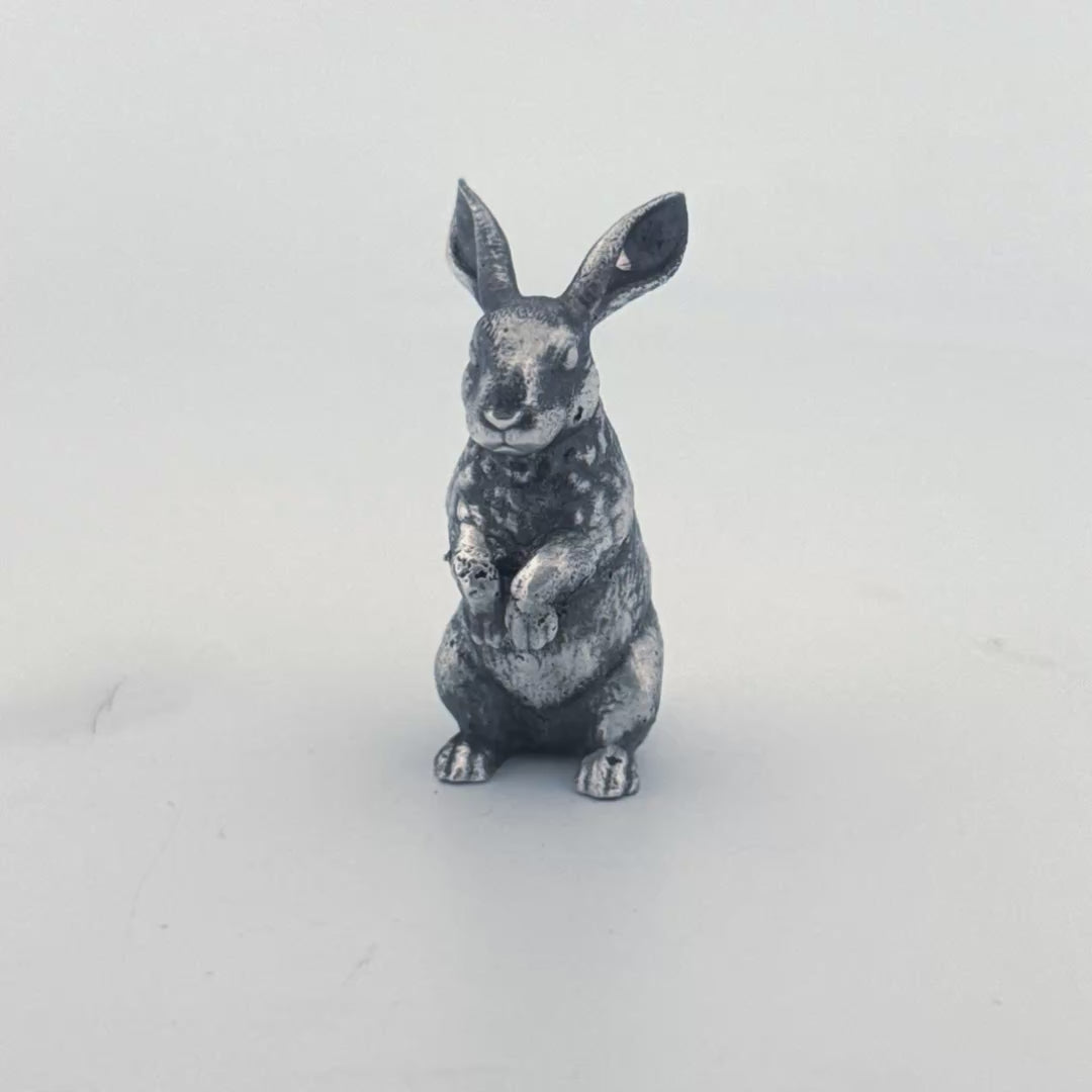 Bunny Rabbit