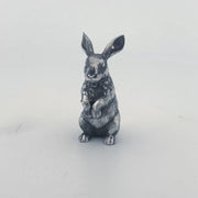 Bunny Rabbit