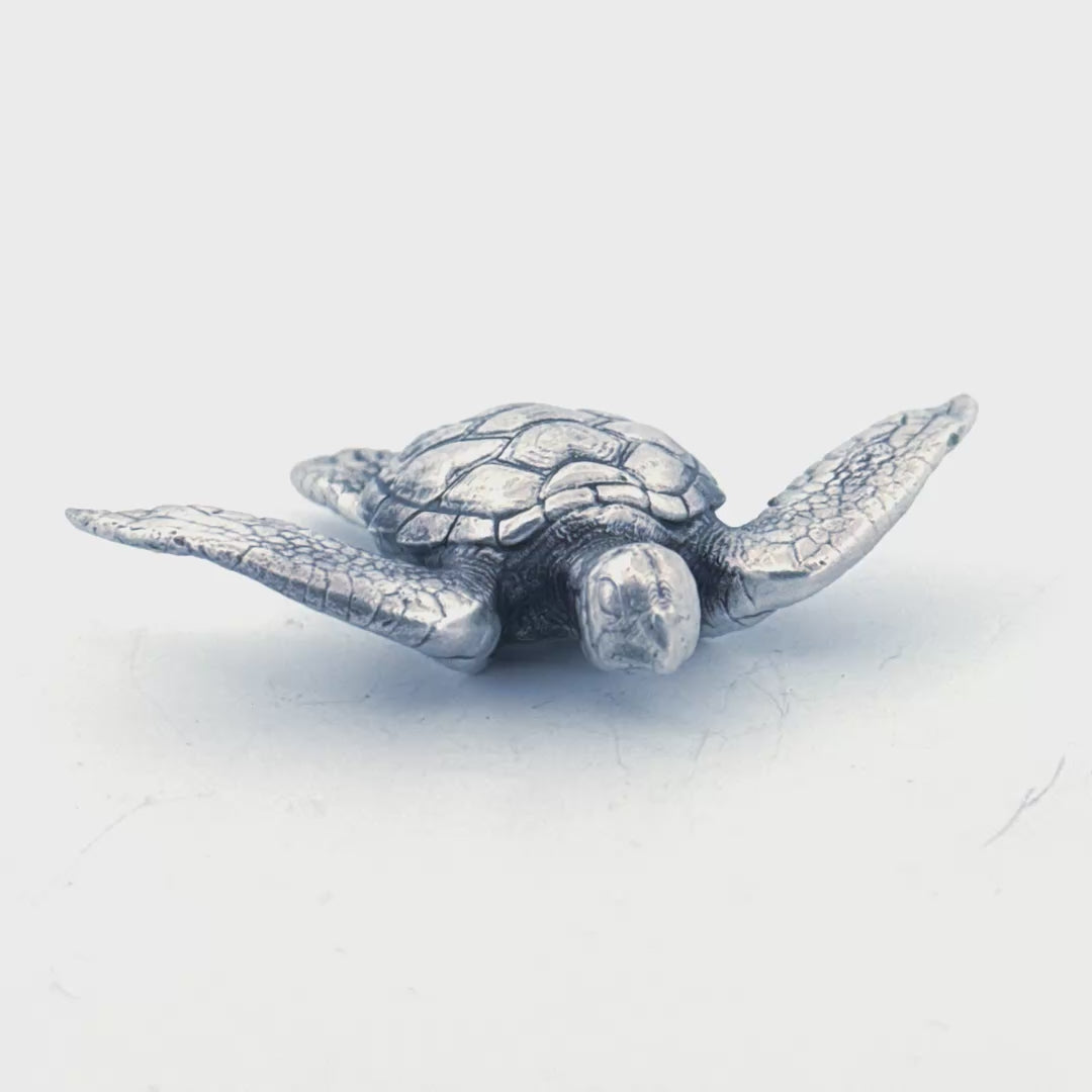 Sea Turtle