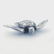 Sea Turtle