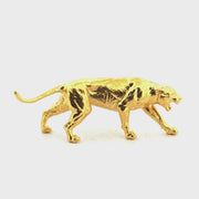 Cougar